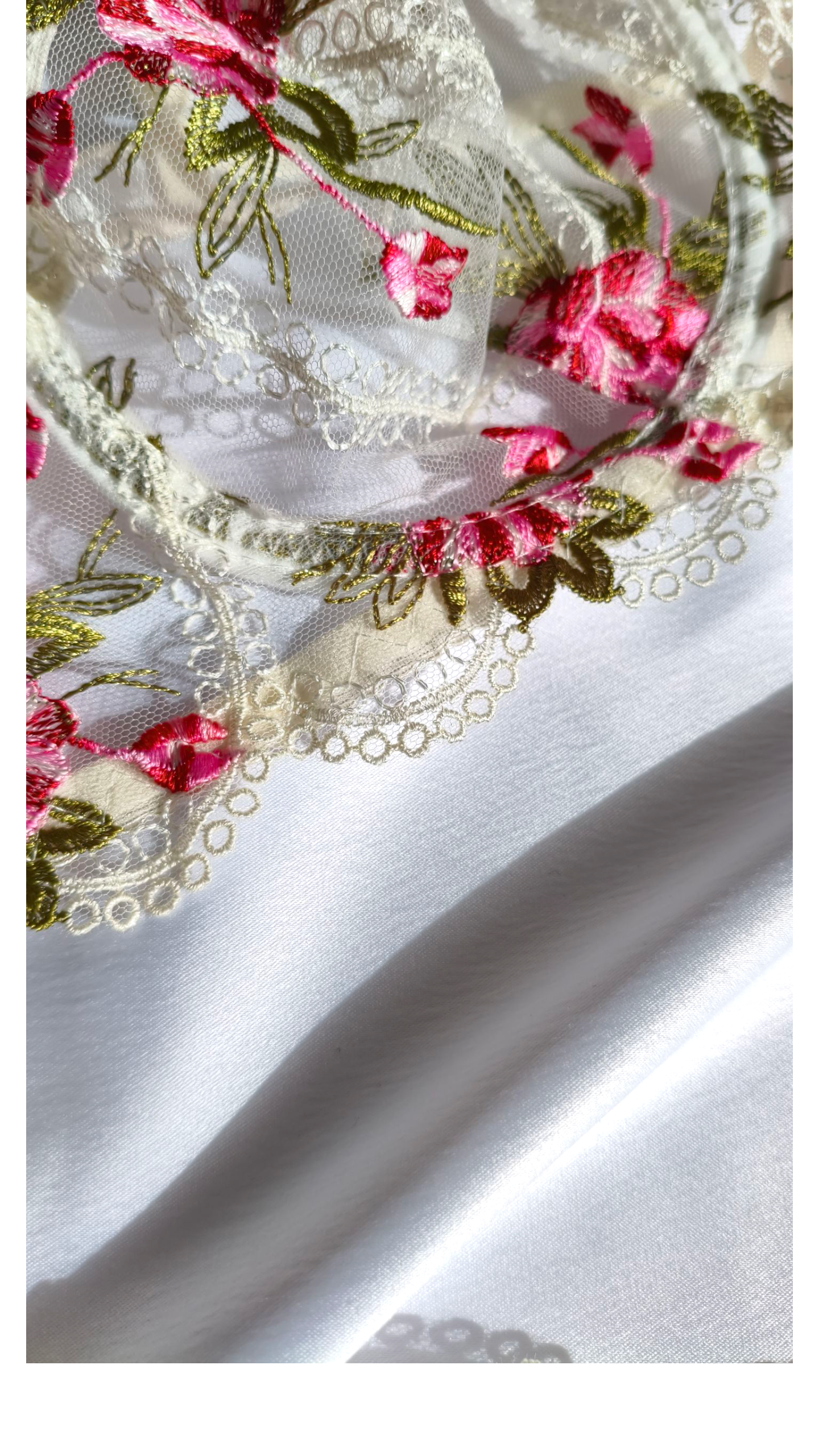 Ensemble Antalya "Curve"